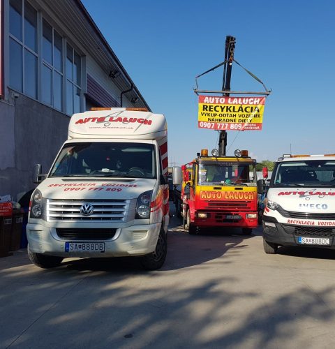 49368644_2249522455318493_3899032630556884992_n