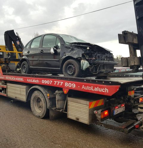 503417830_4069723366631717_1832627990859285066_n