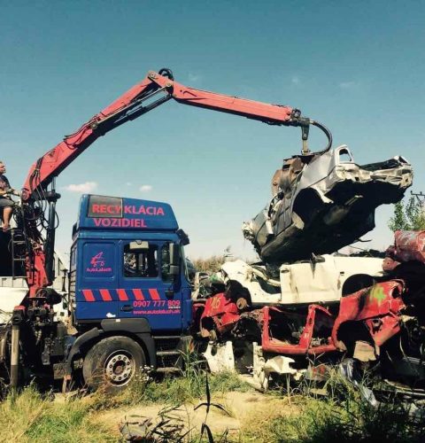 60655133_2335090523428352_7876083213196591104_n – kópia